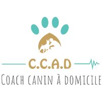 coach-canin